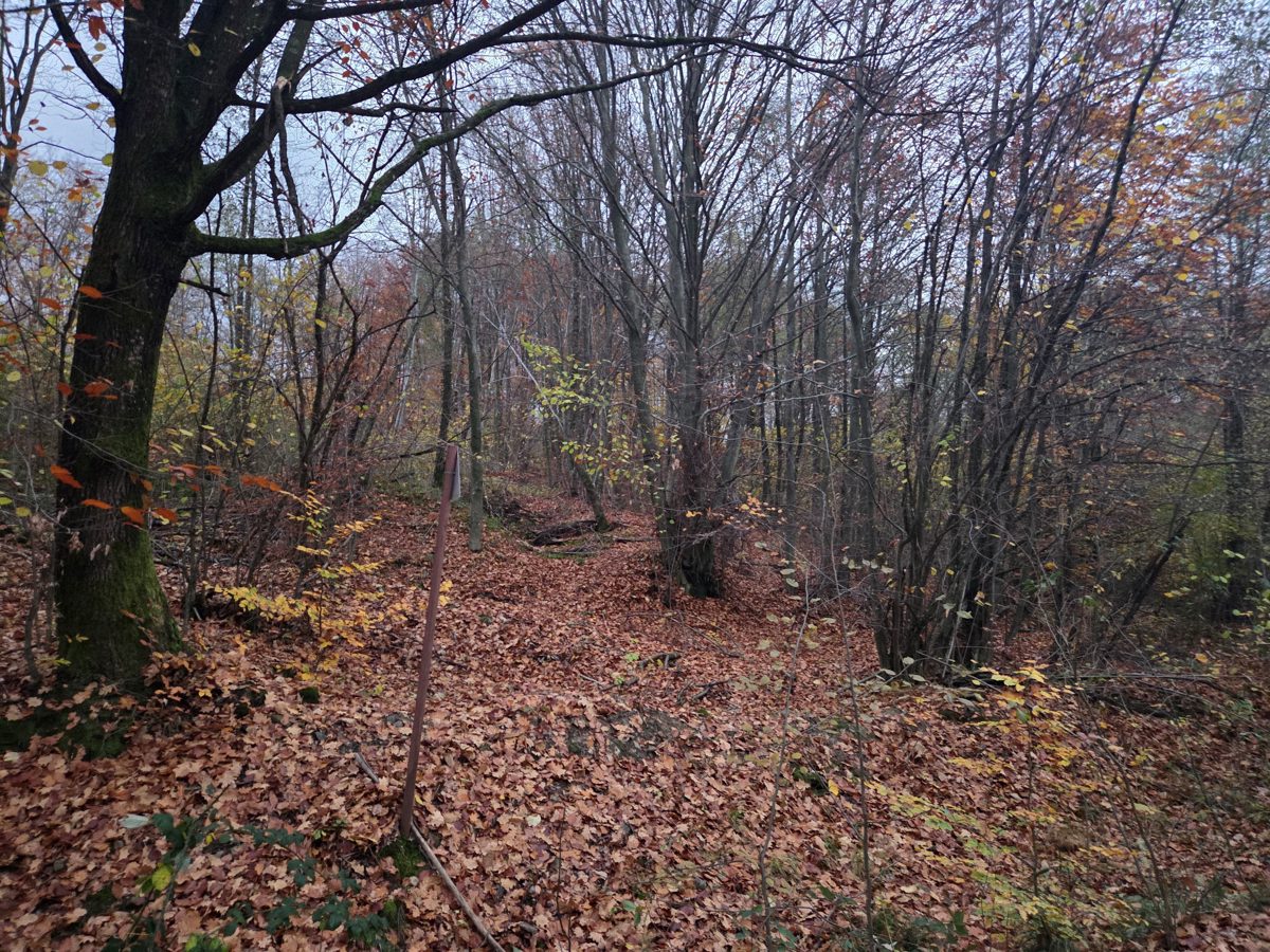 Padure - EXTRAVILAN in suprafata de 3600 MP 1