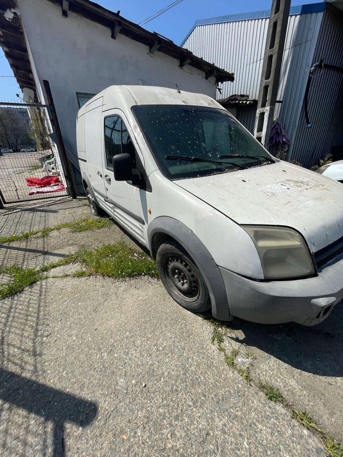 Miniatură 6