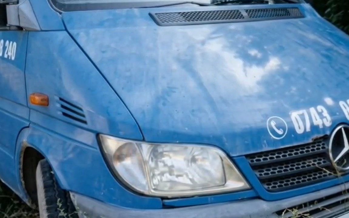 Miniatură 2