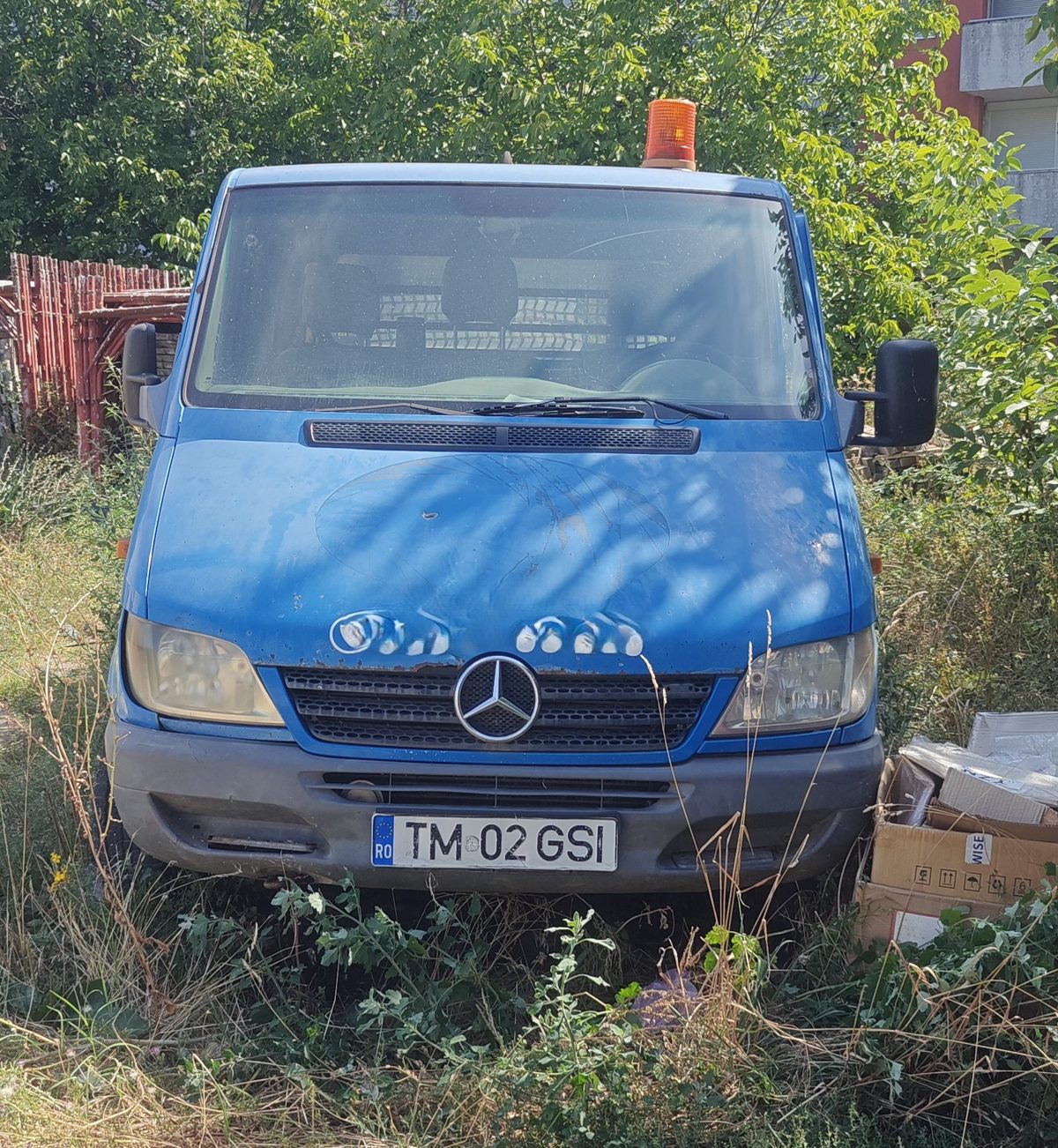 Miniatură 12
