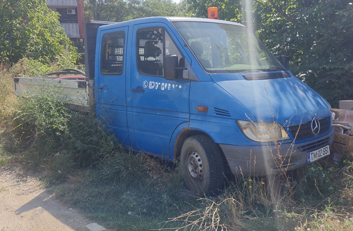 Miniatură 5