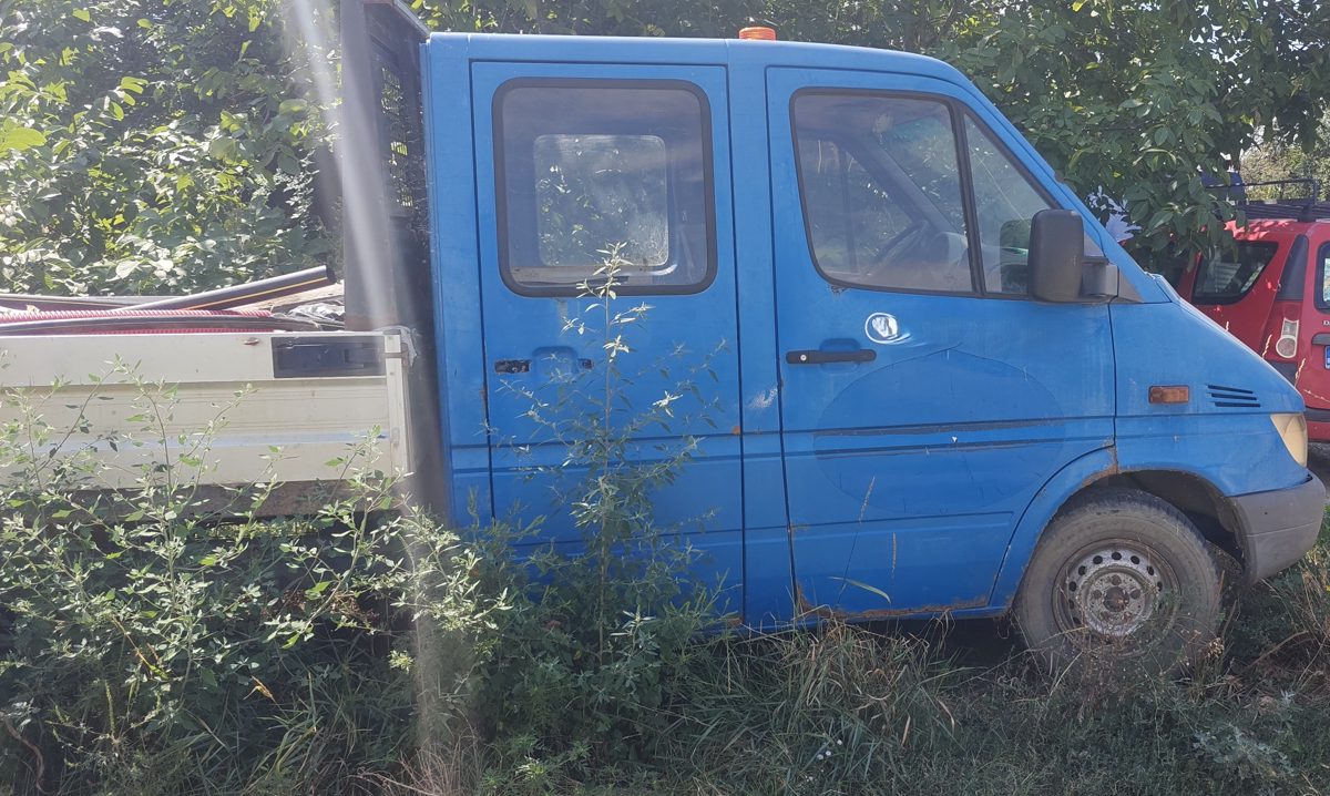 Miniatură 7