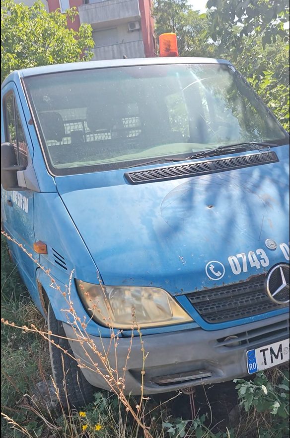 Miniatură 10