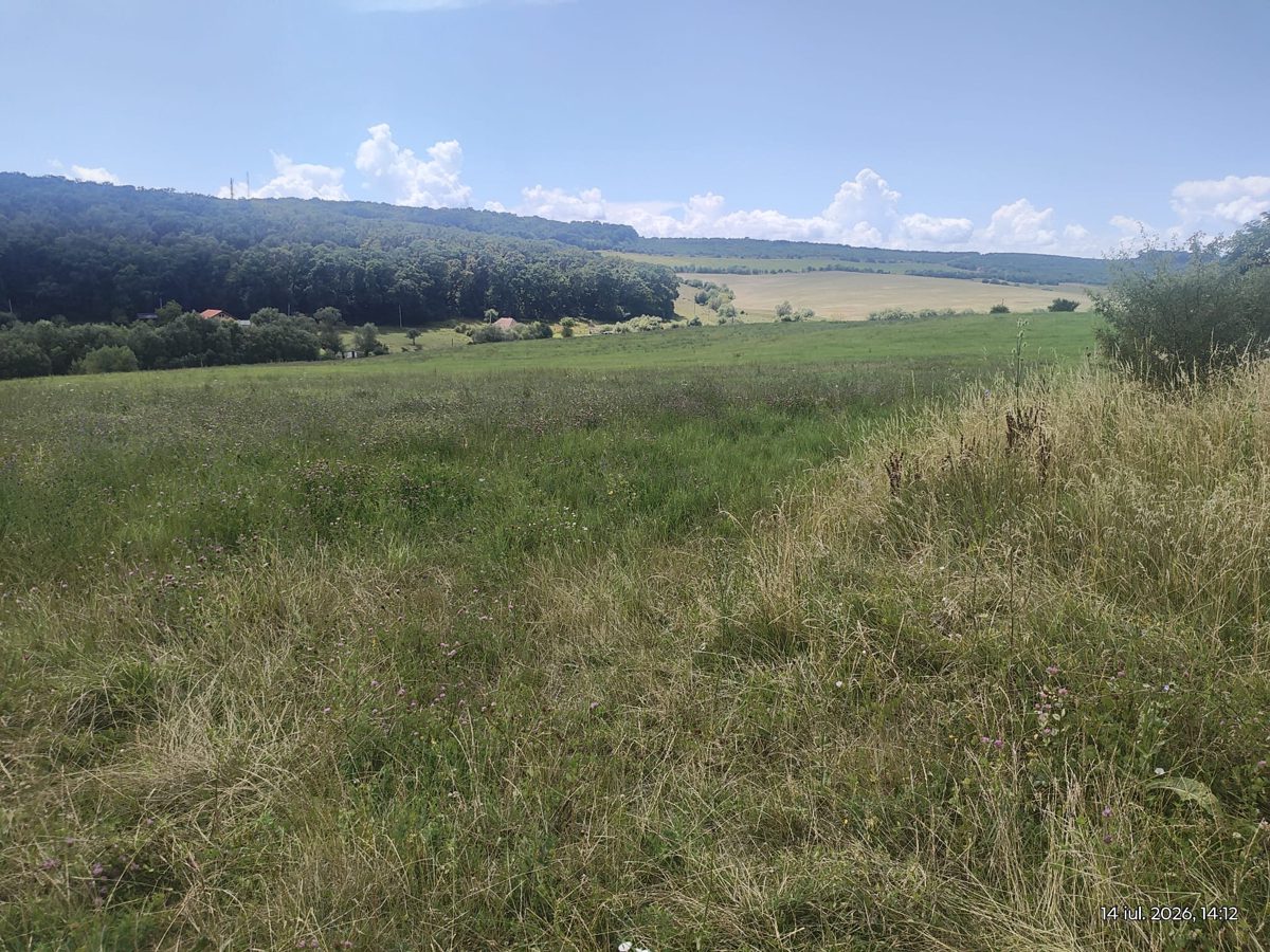 Teren agricol - extravilan in suprafata de 950 MP 1