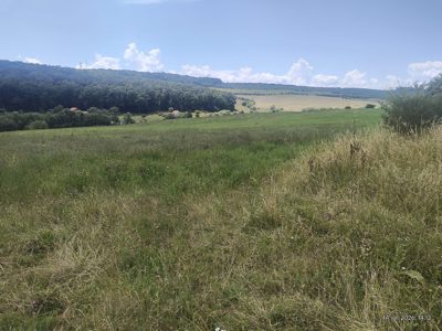 Teren agricol - extravilan in suprafata de 950 MP