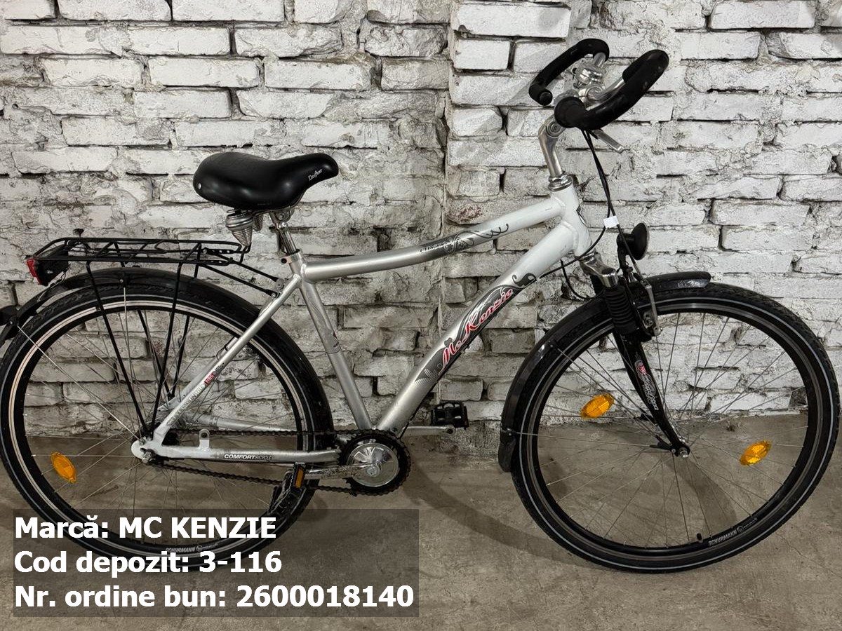 Bicicleta- McKenzie 1