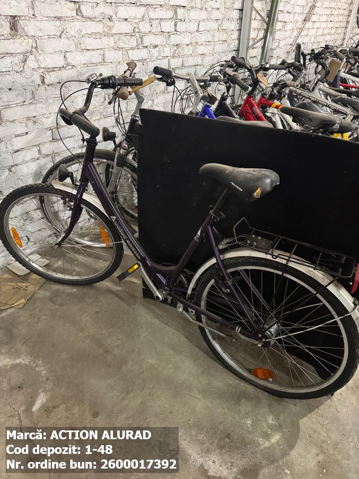 Bicicleta- Action Alurad 1