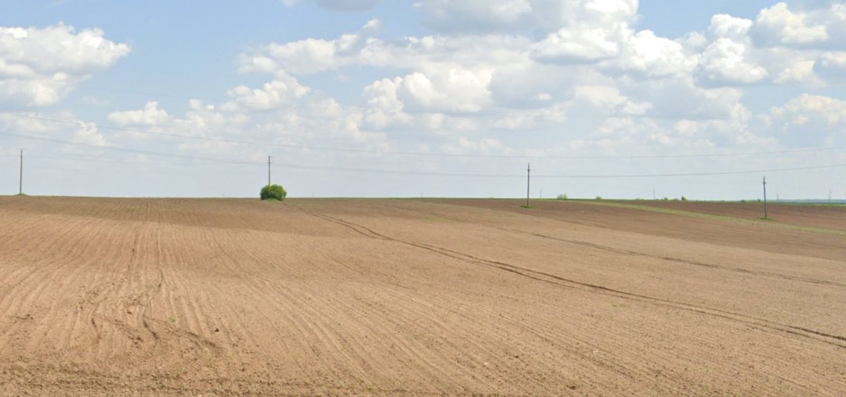 Miniatură 3