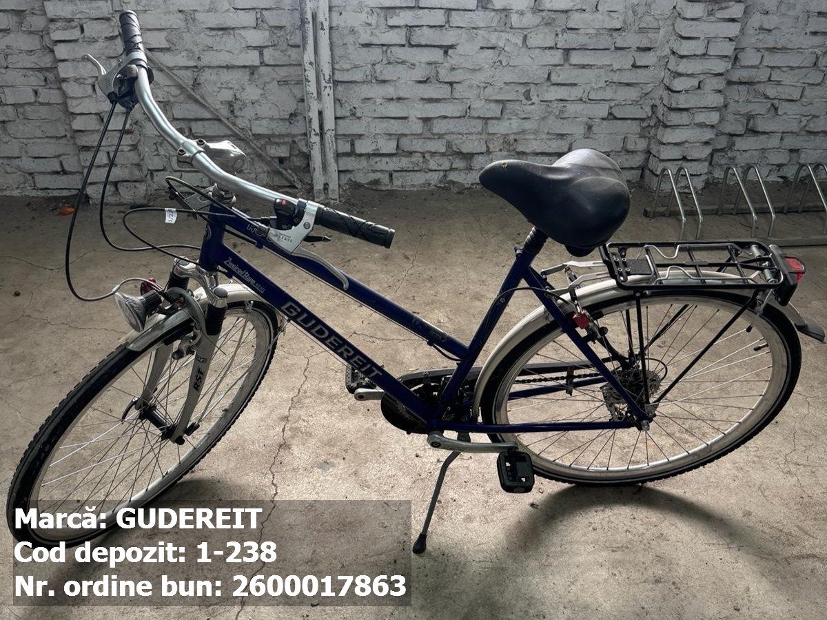 Bicicleta- Gudereit 1