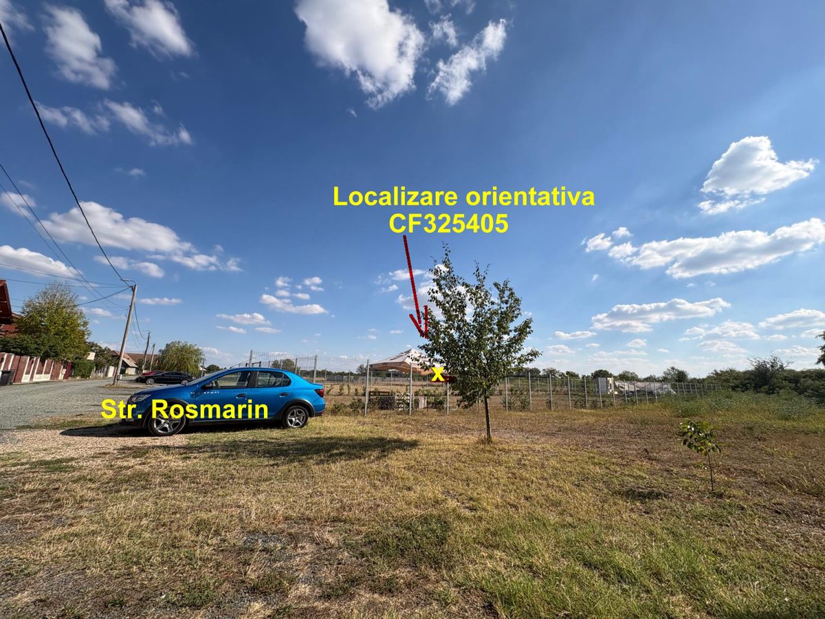 Miniatură 3