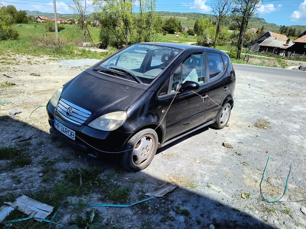 Miniatură 2