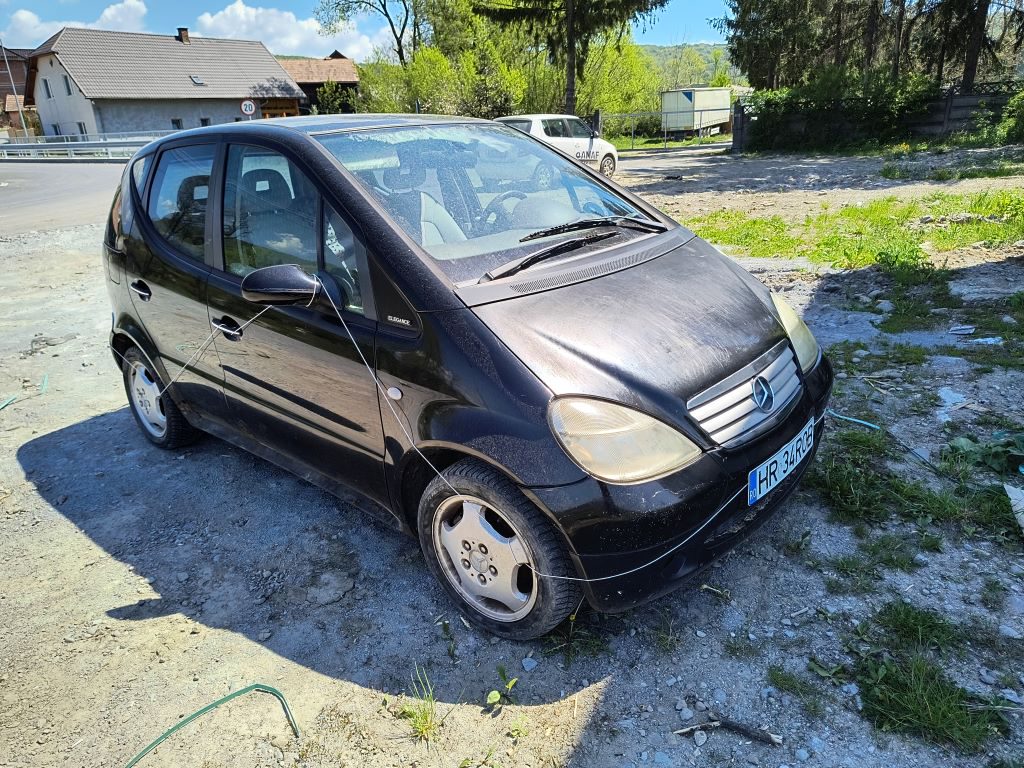 Miniatură 3