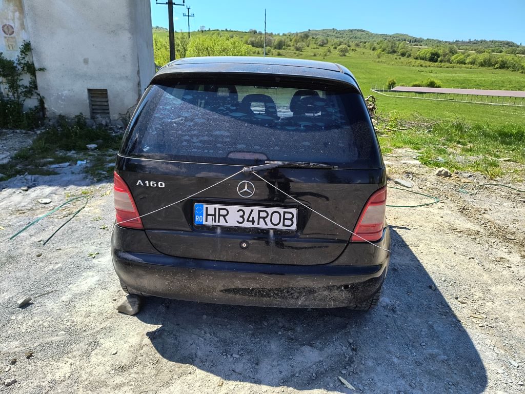 Miniatură 6