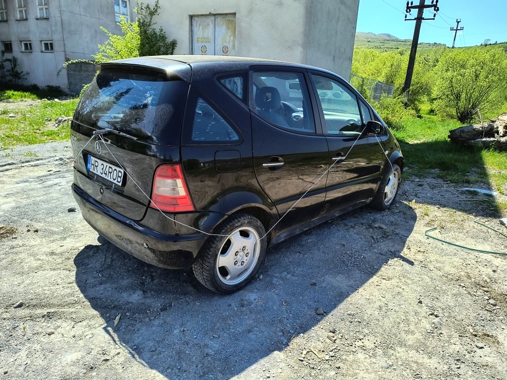 Miniatură 7