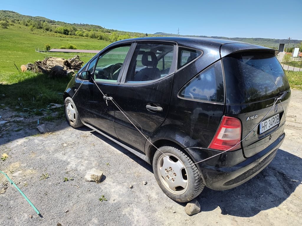 Miniatură 8