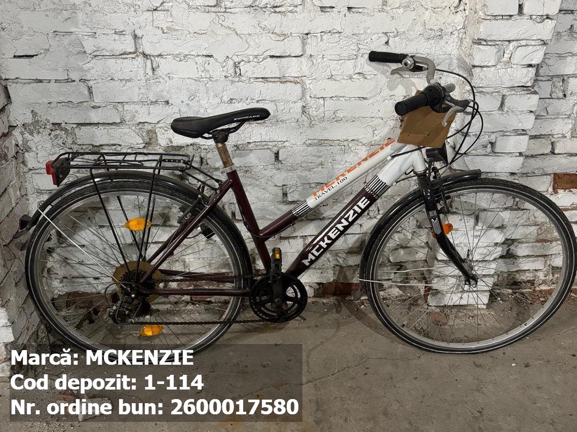 Bicicleta- McKenzie 1