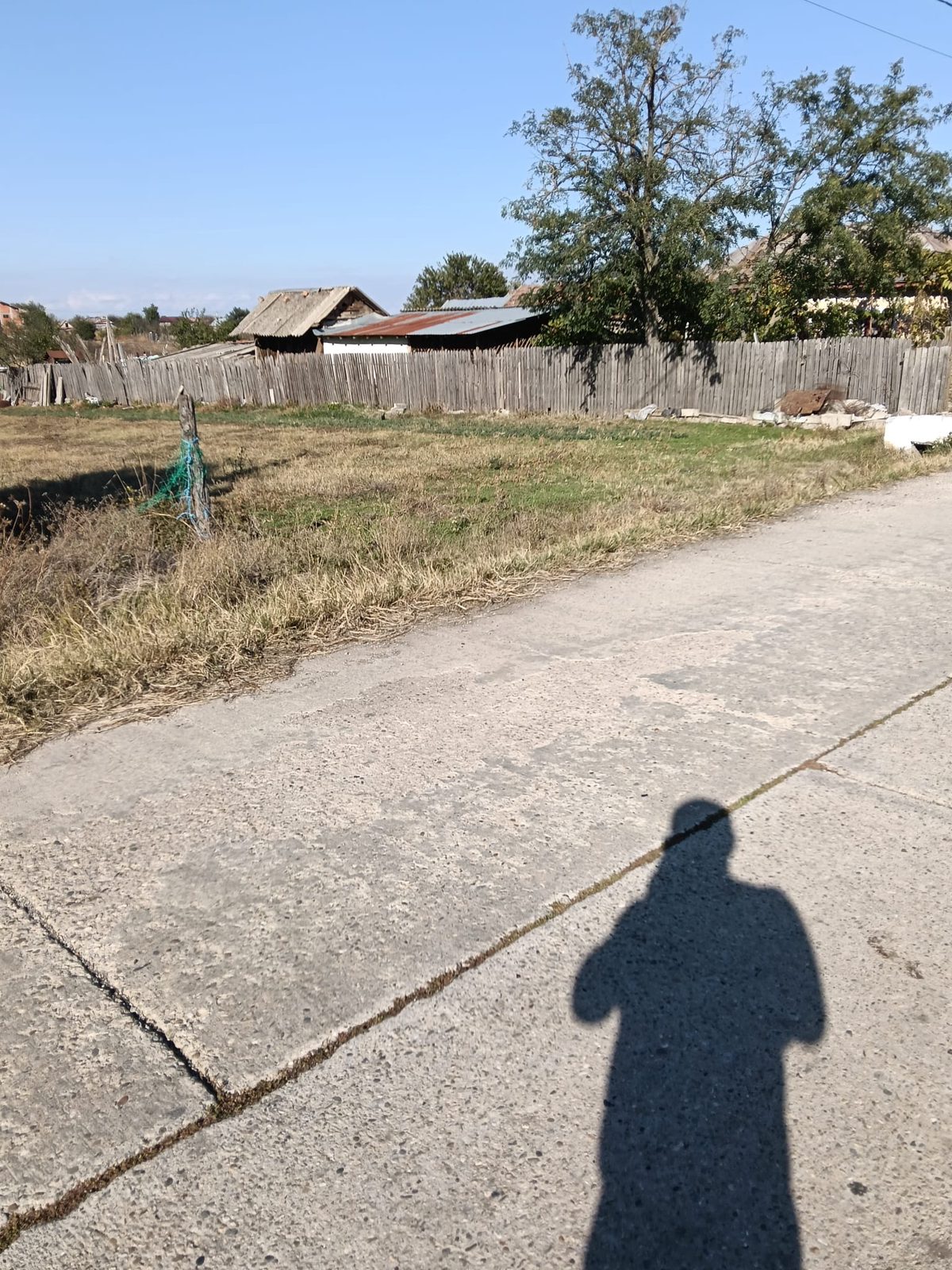 Miniatură 3