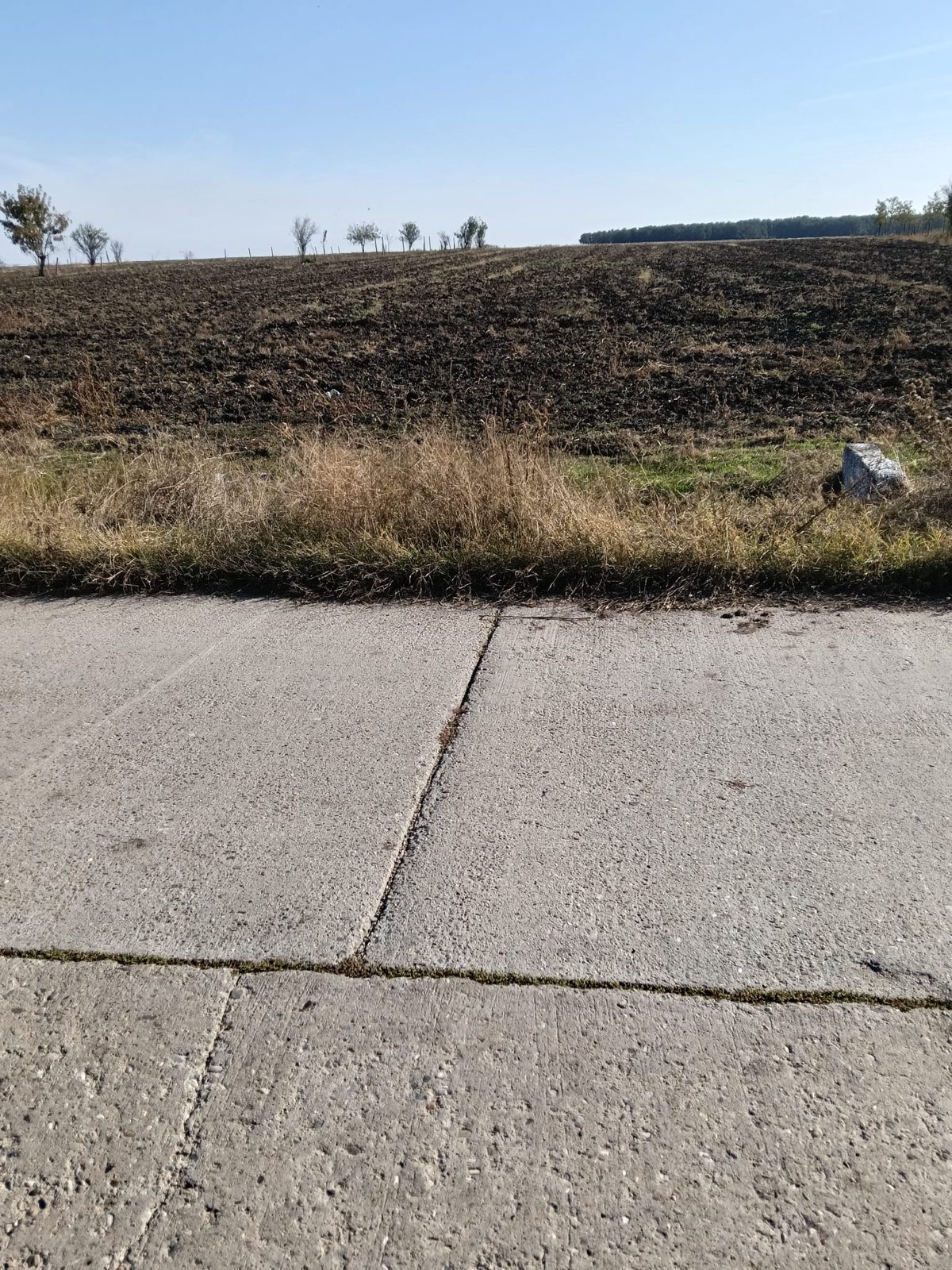 Miniatură 5