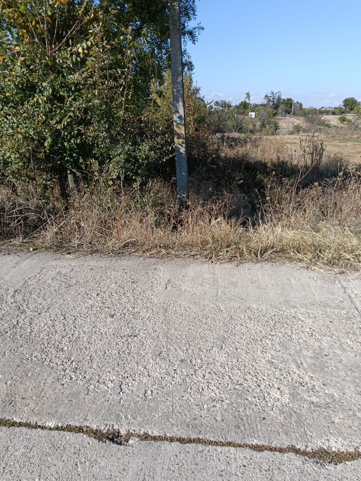 Miniatură 7