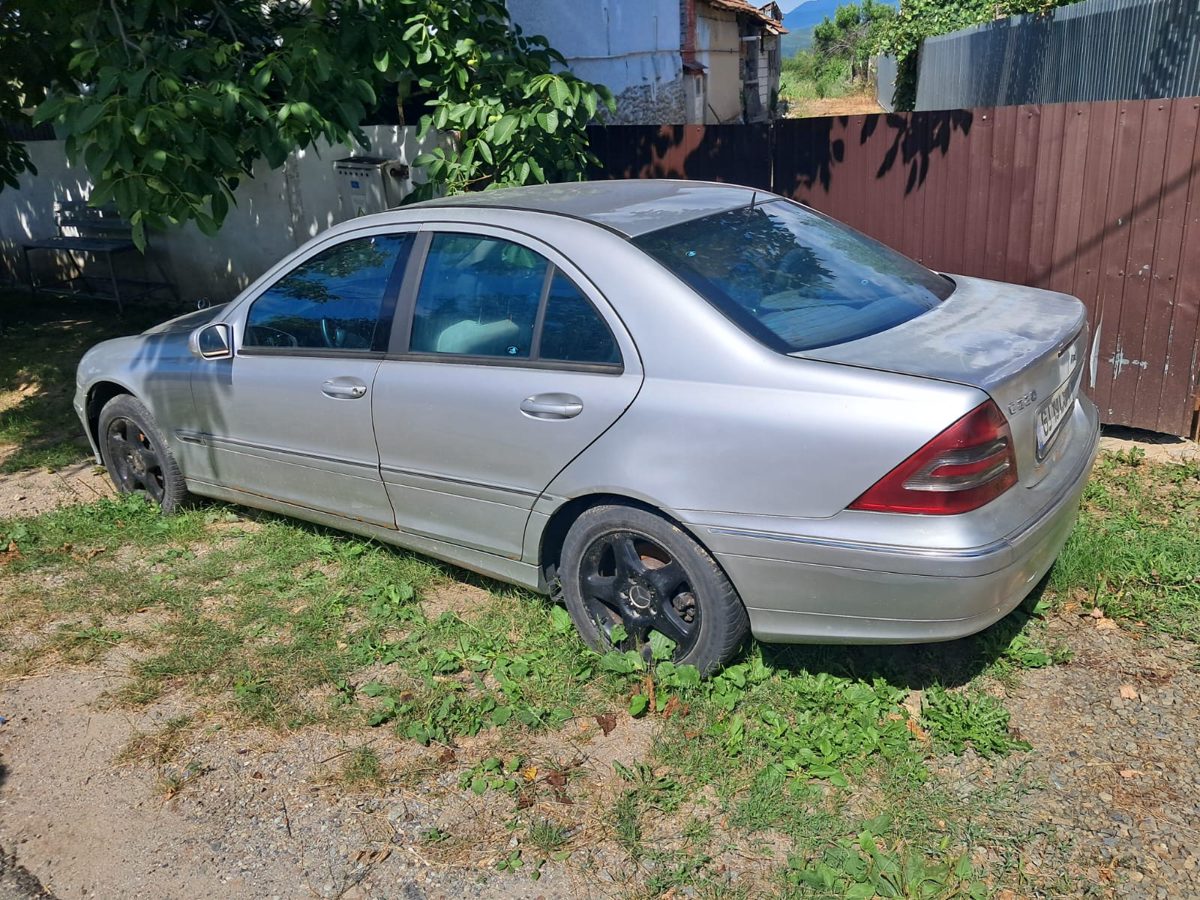 Miniatură 3