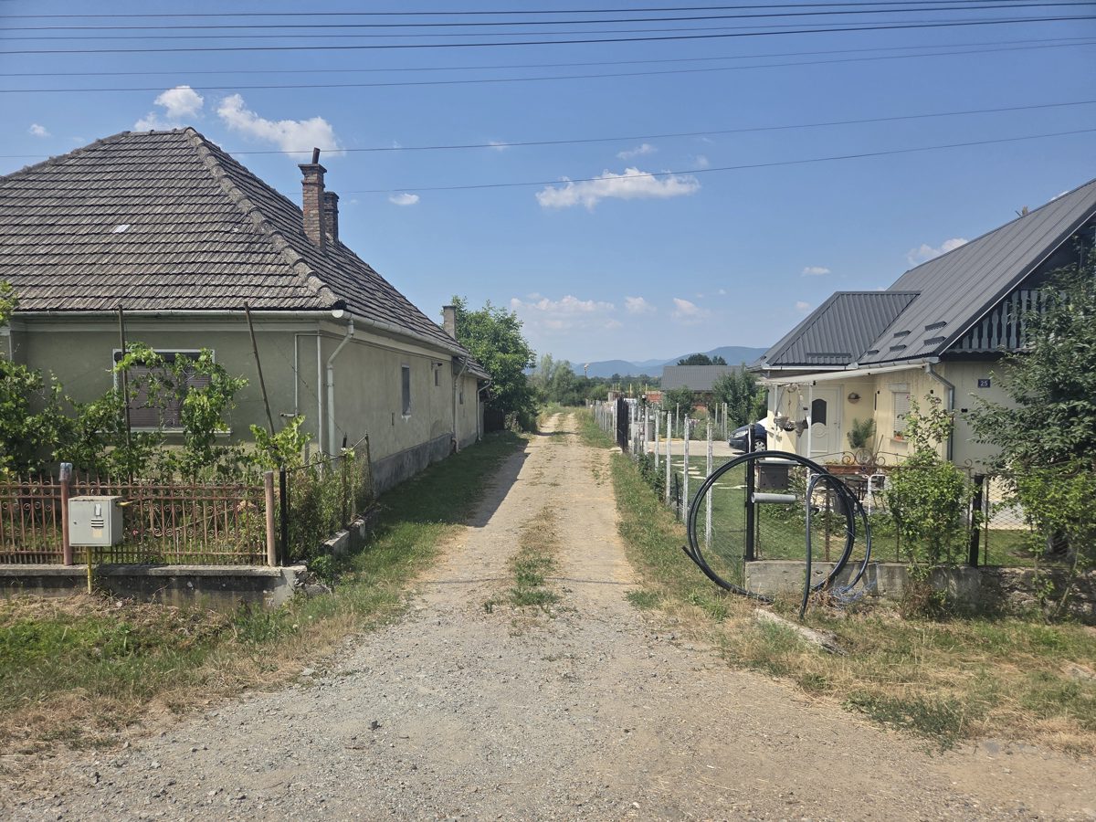Miniatură 2