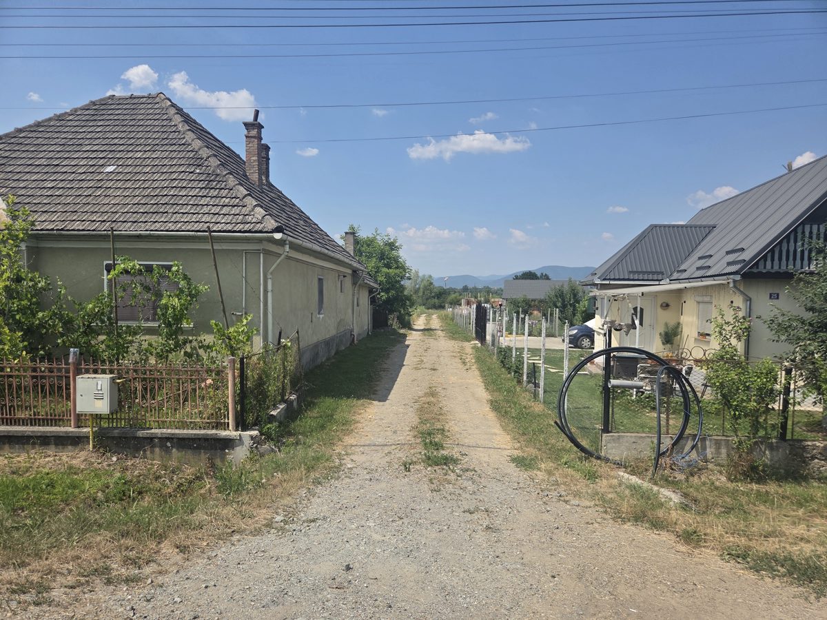 Miniatură 3