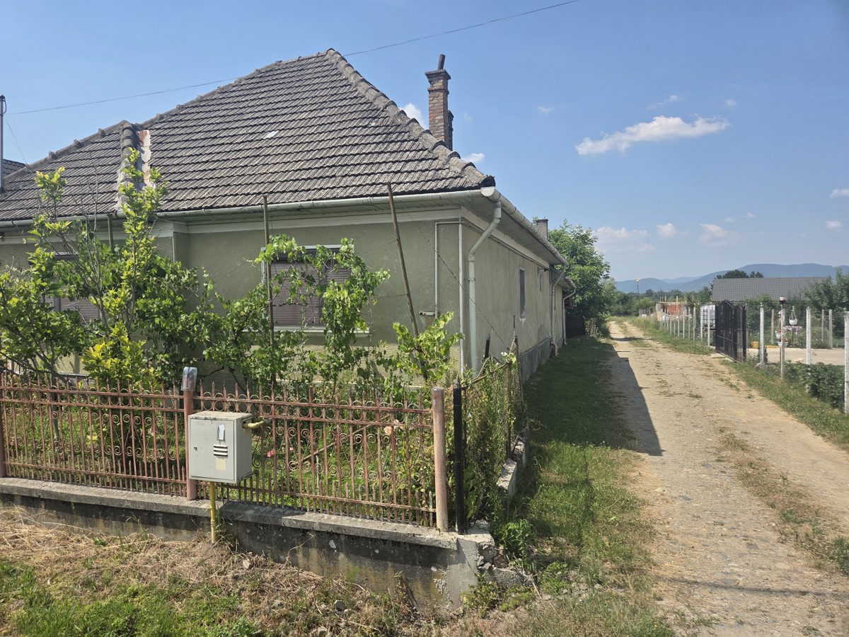 Miniatură 4
