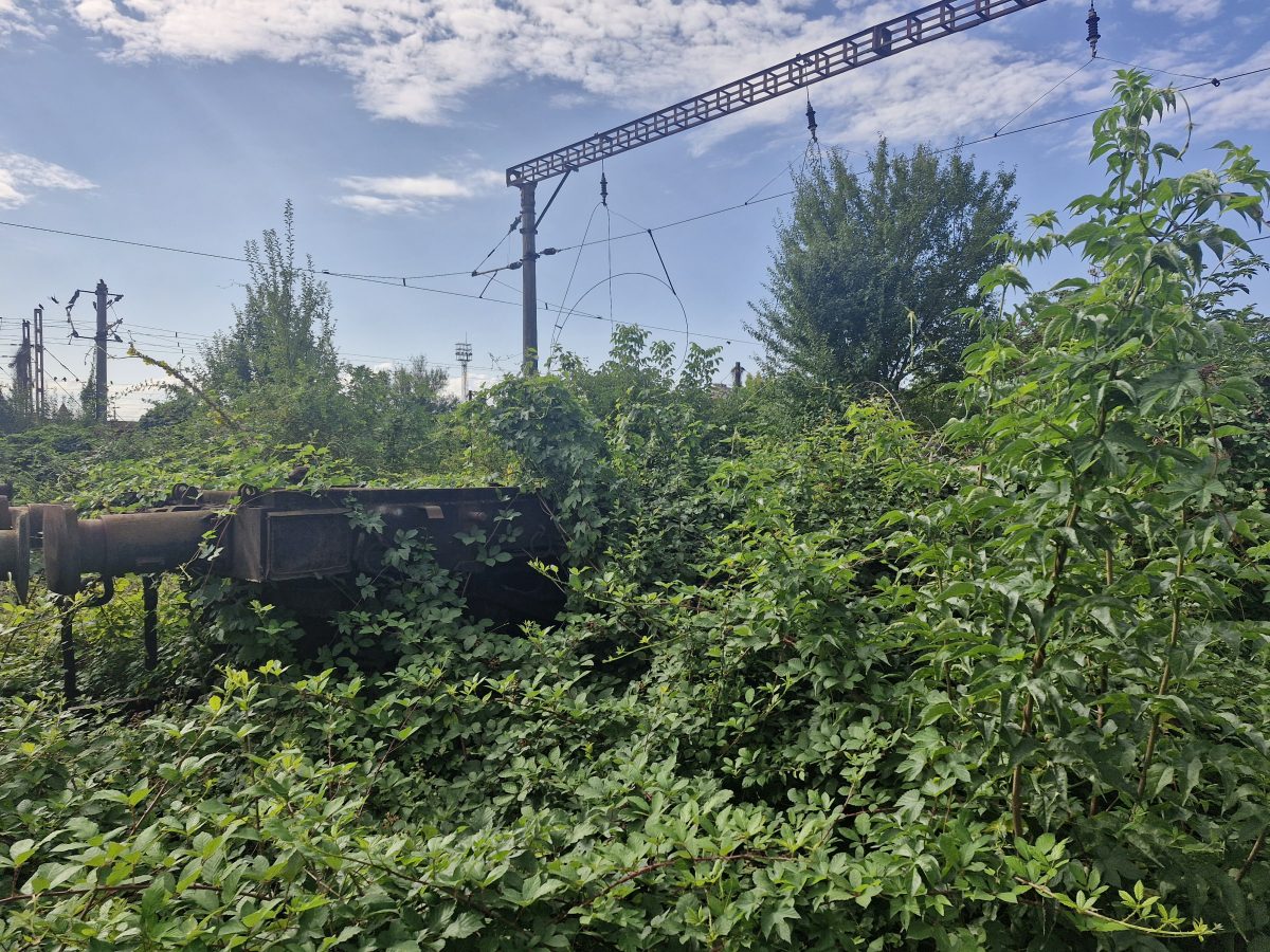 Miniatură 3