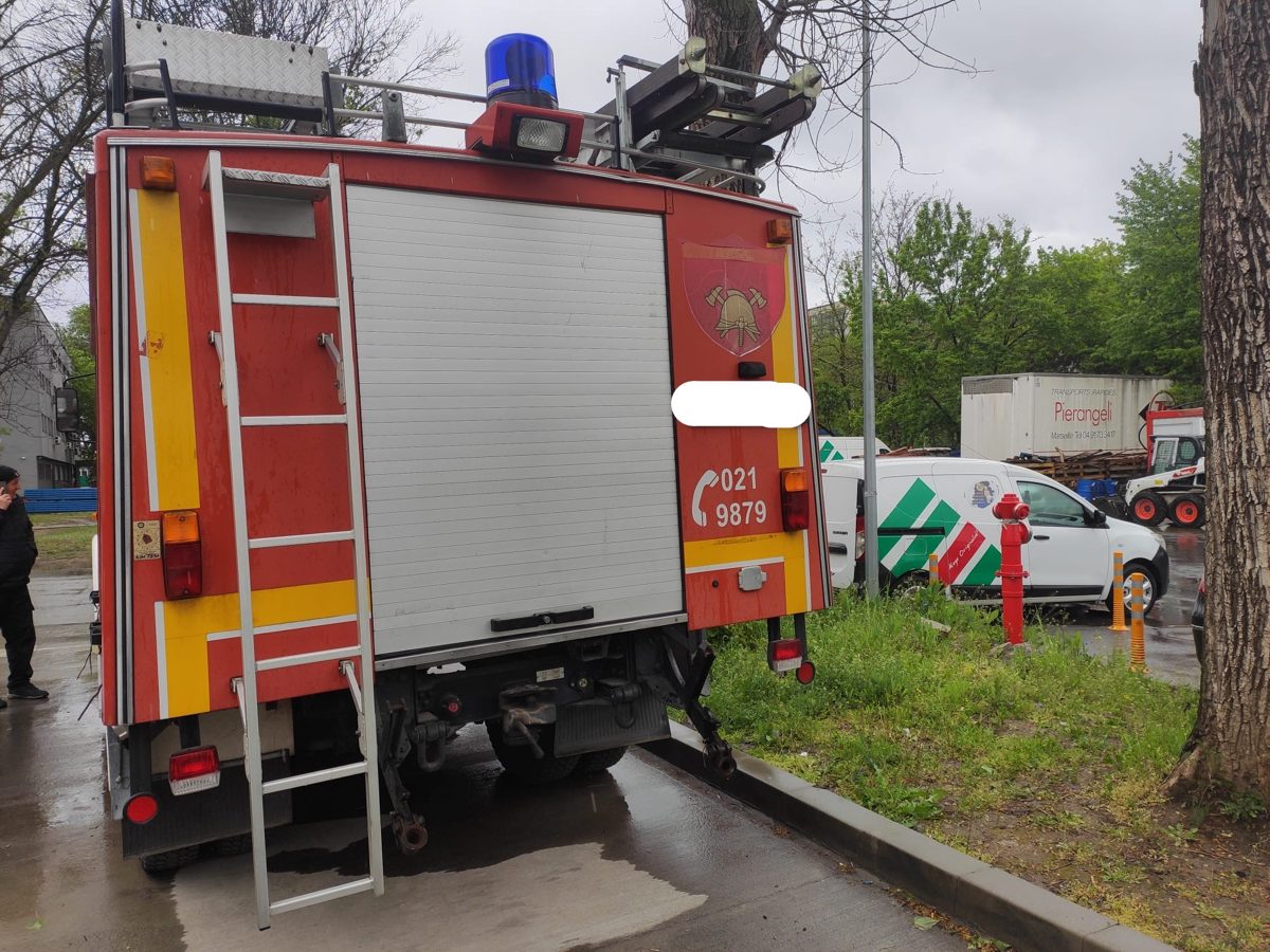 Miniatură 2