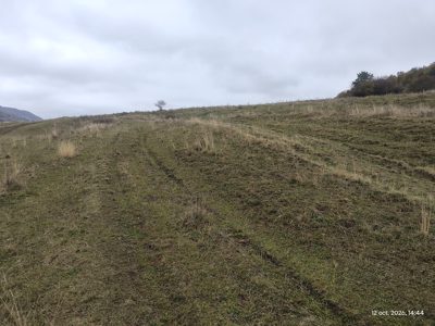 Teren agricol - -