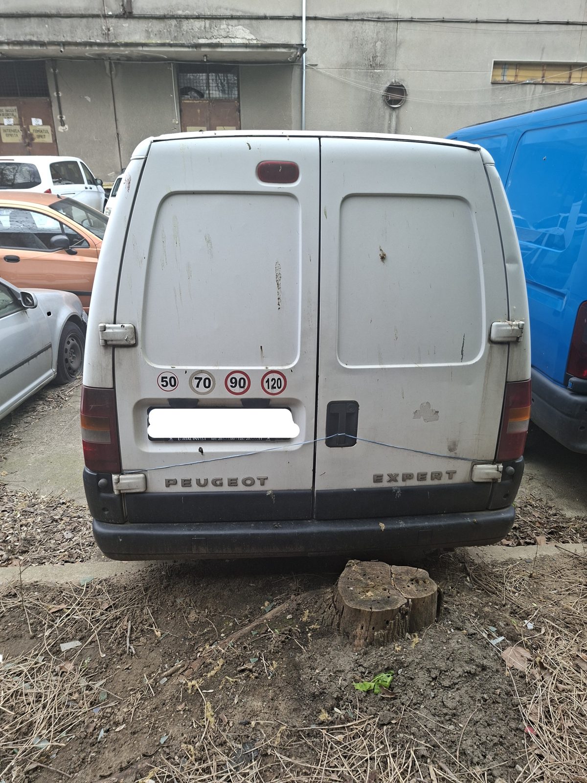 Miniatură 2