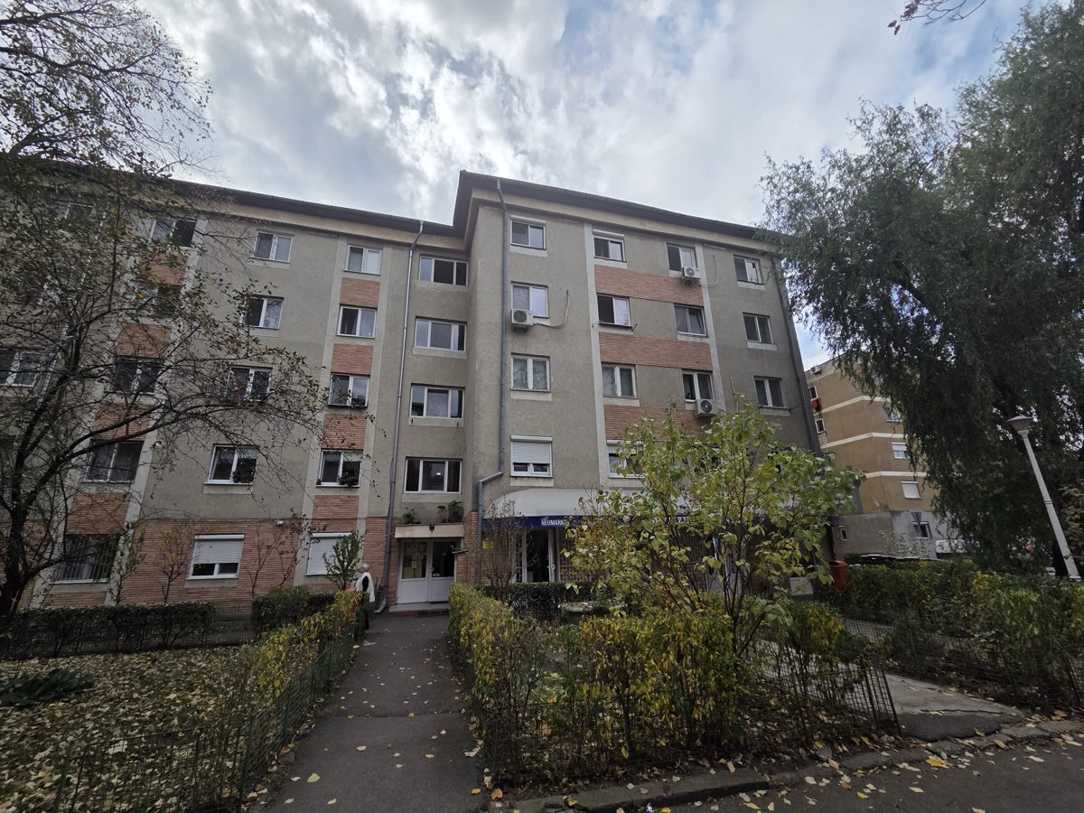 Miniatură 3