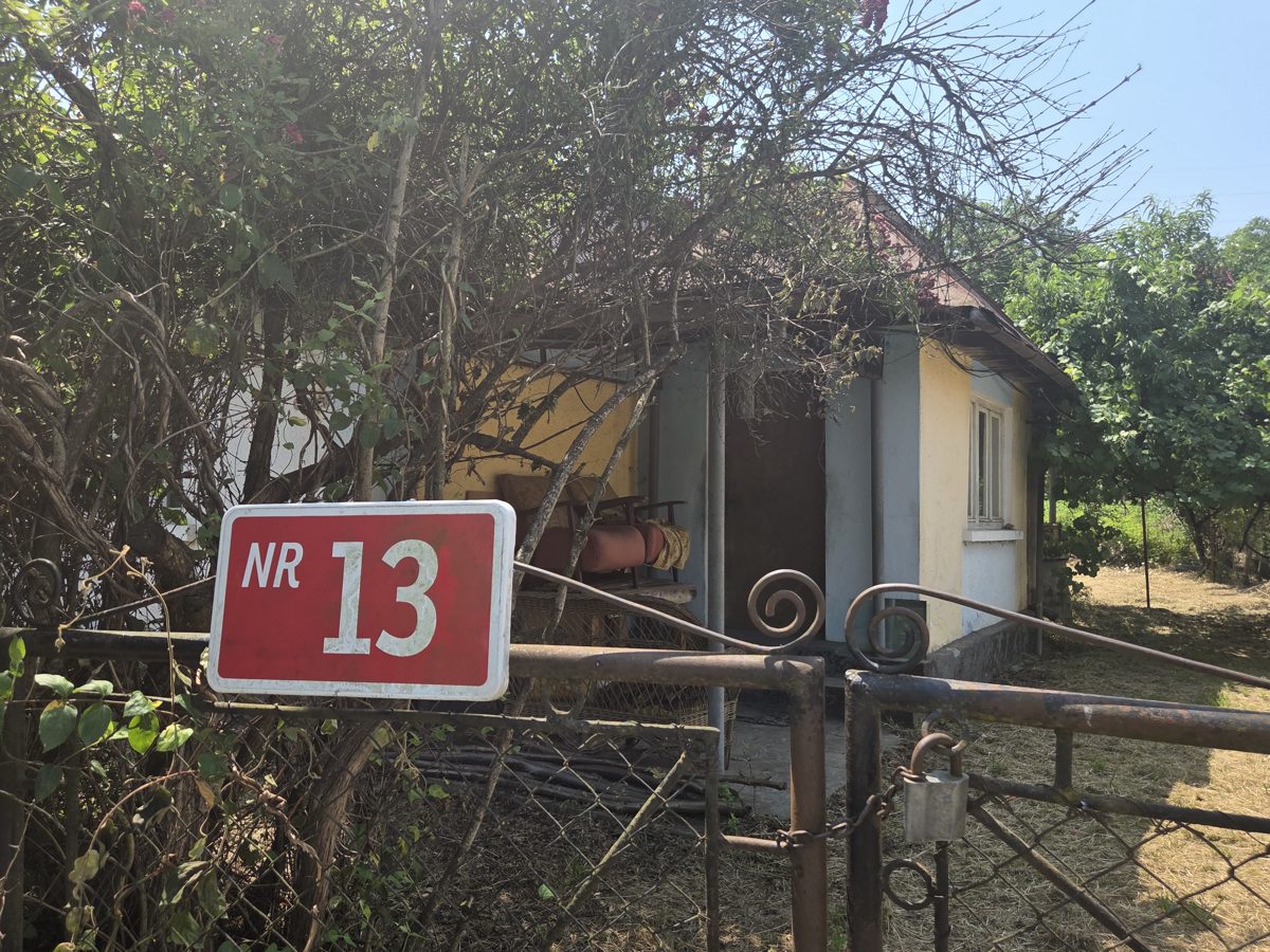 Miniatură 2