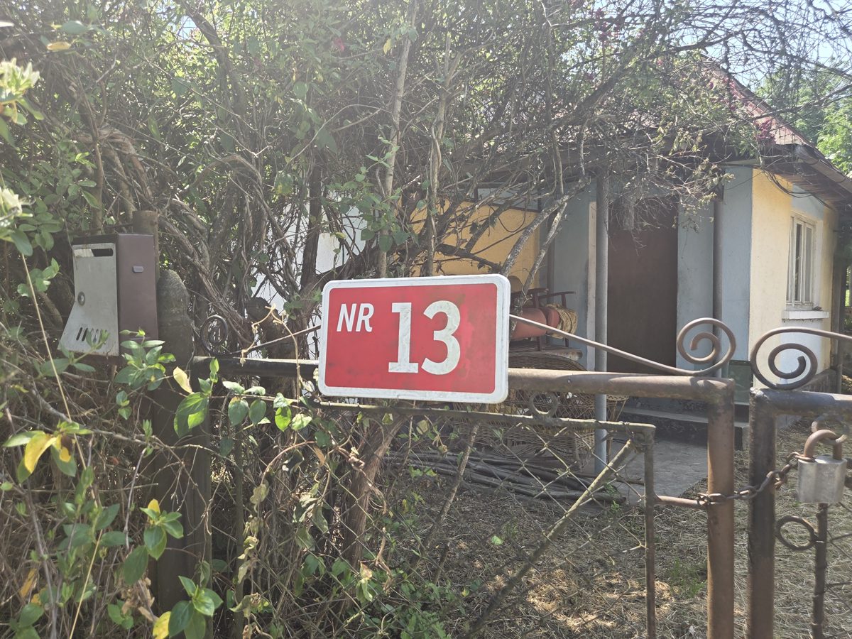 Miniatură 3