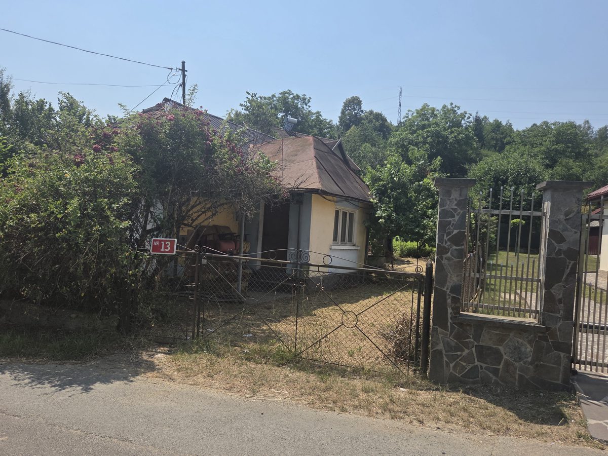 Miniatură 4