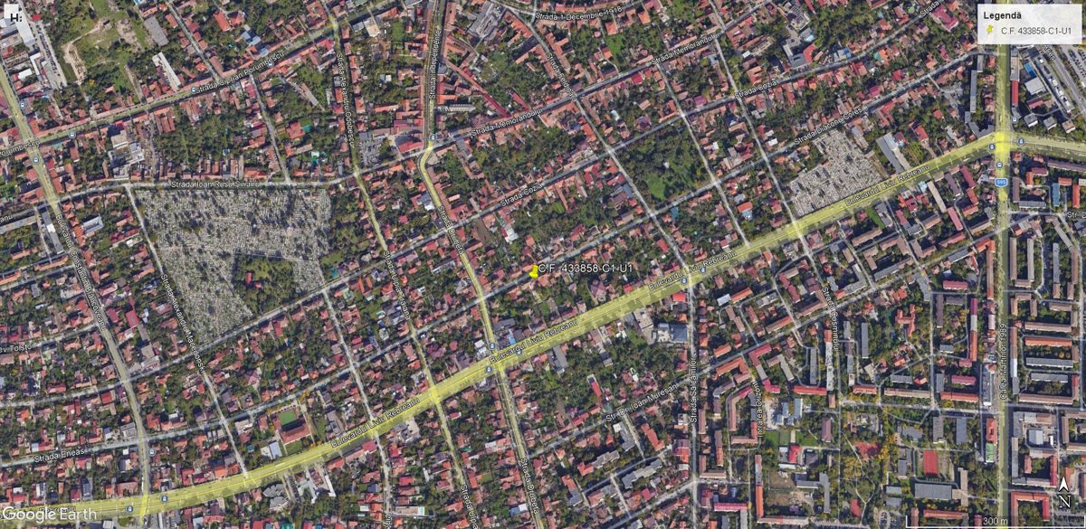 Miniatură 6