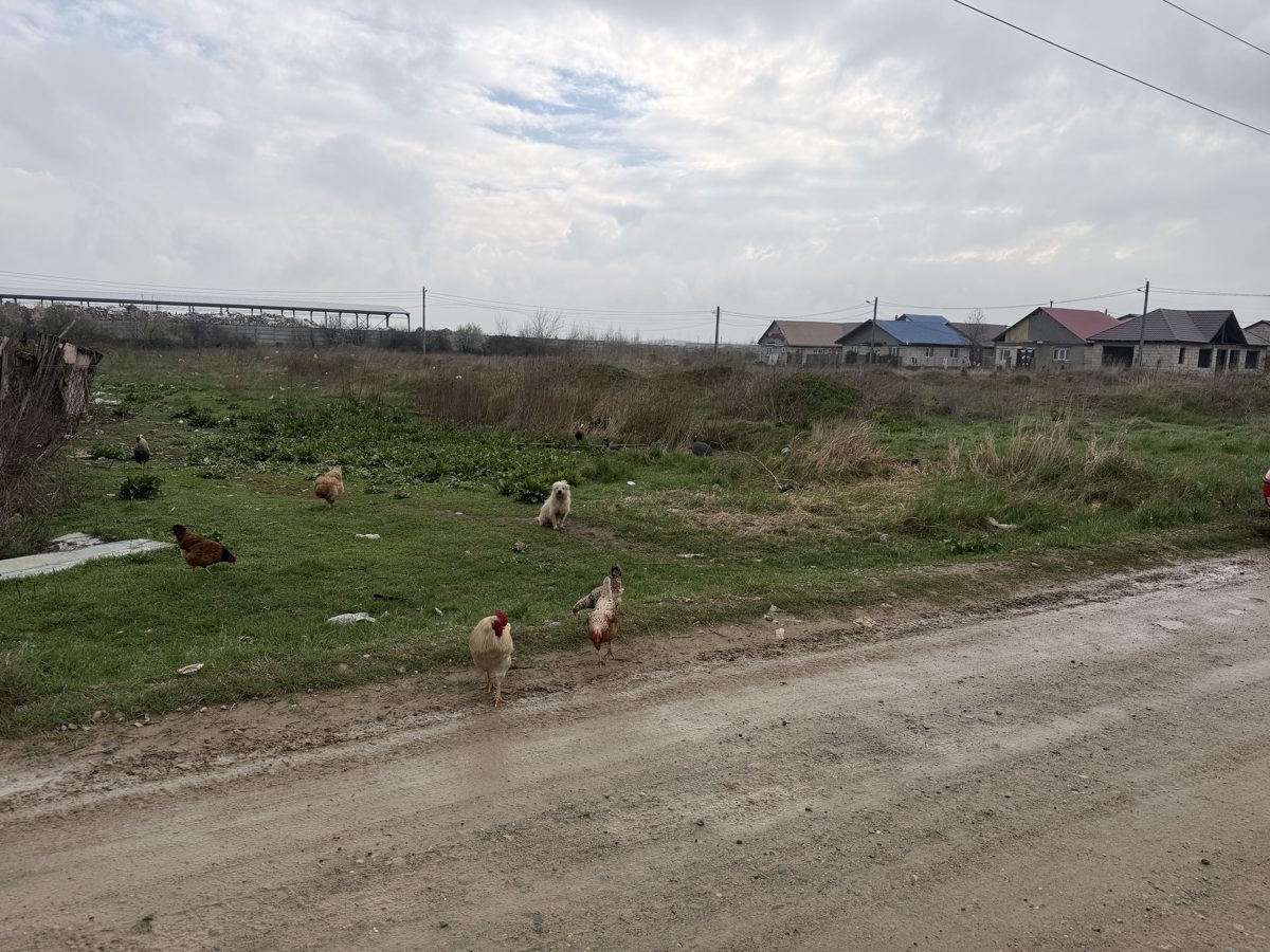 Teren agricol - intravilan 1