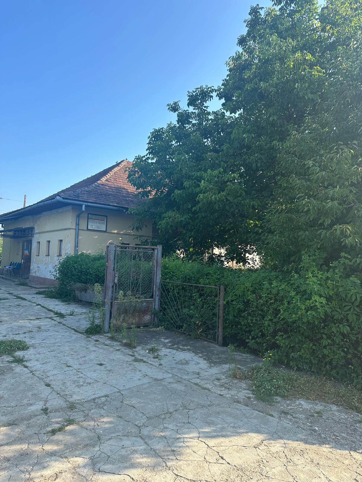 Miniatură 2