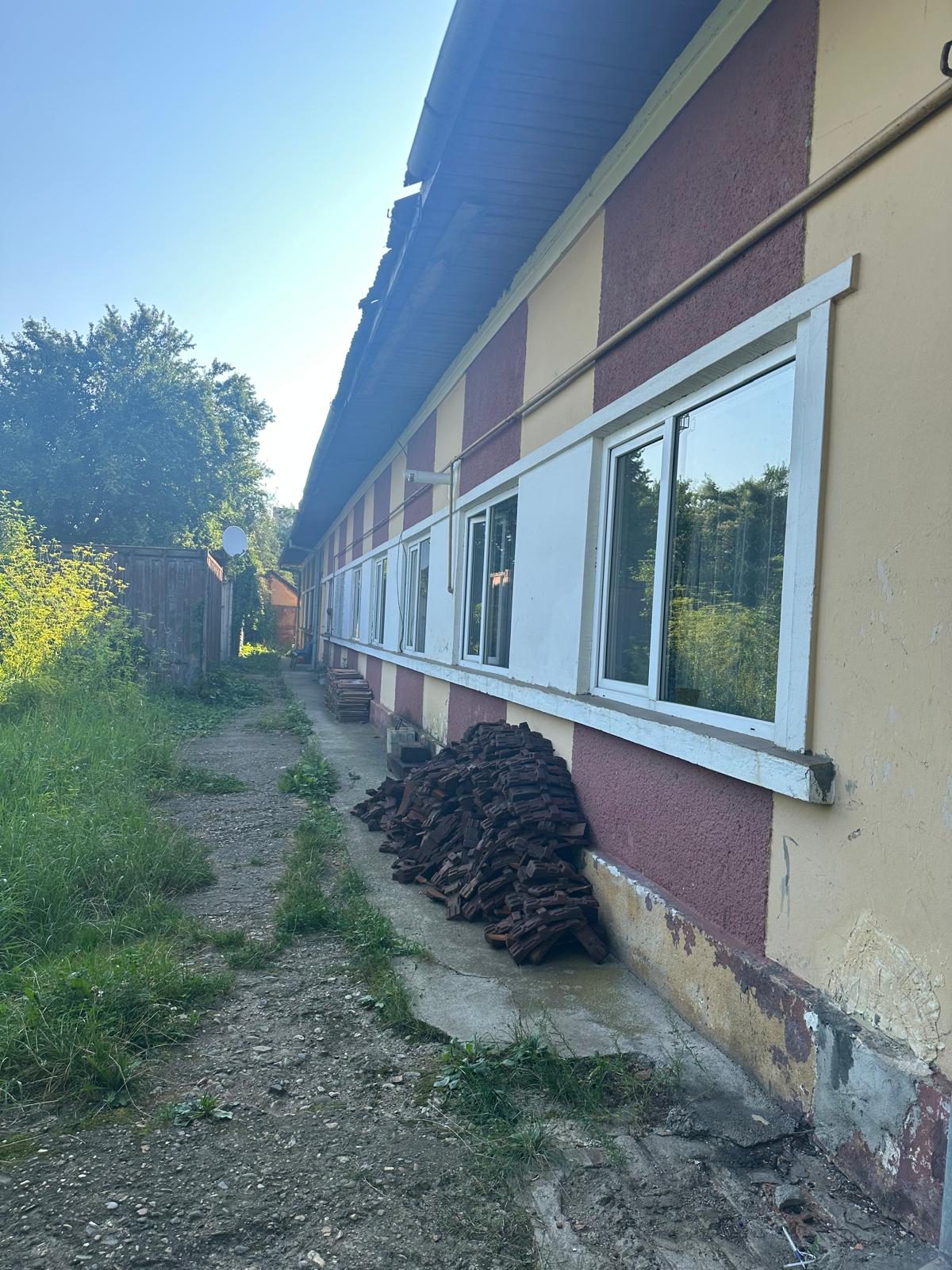 Miniatură 3