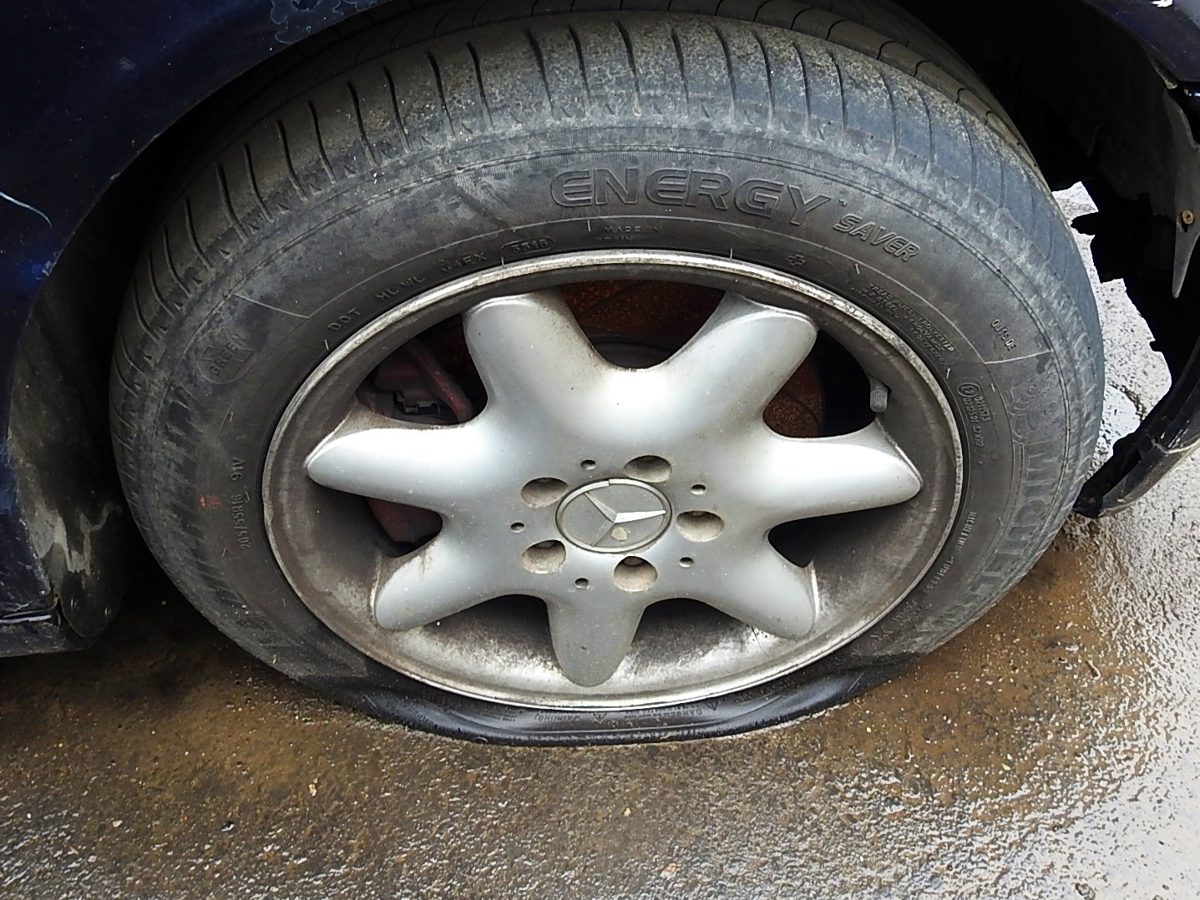 Miniatură 6