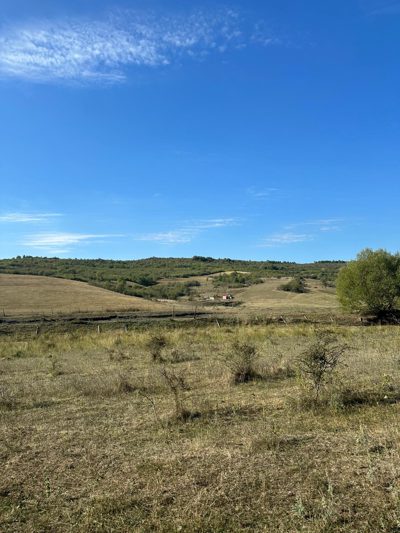 Teren agricol -