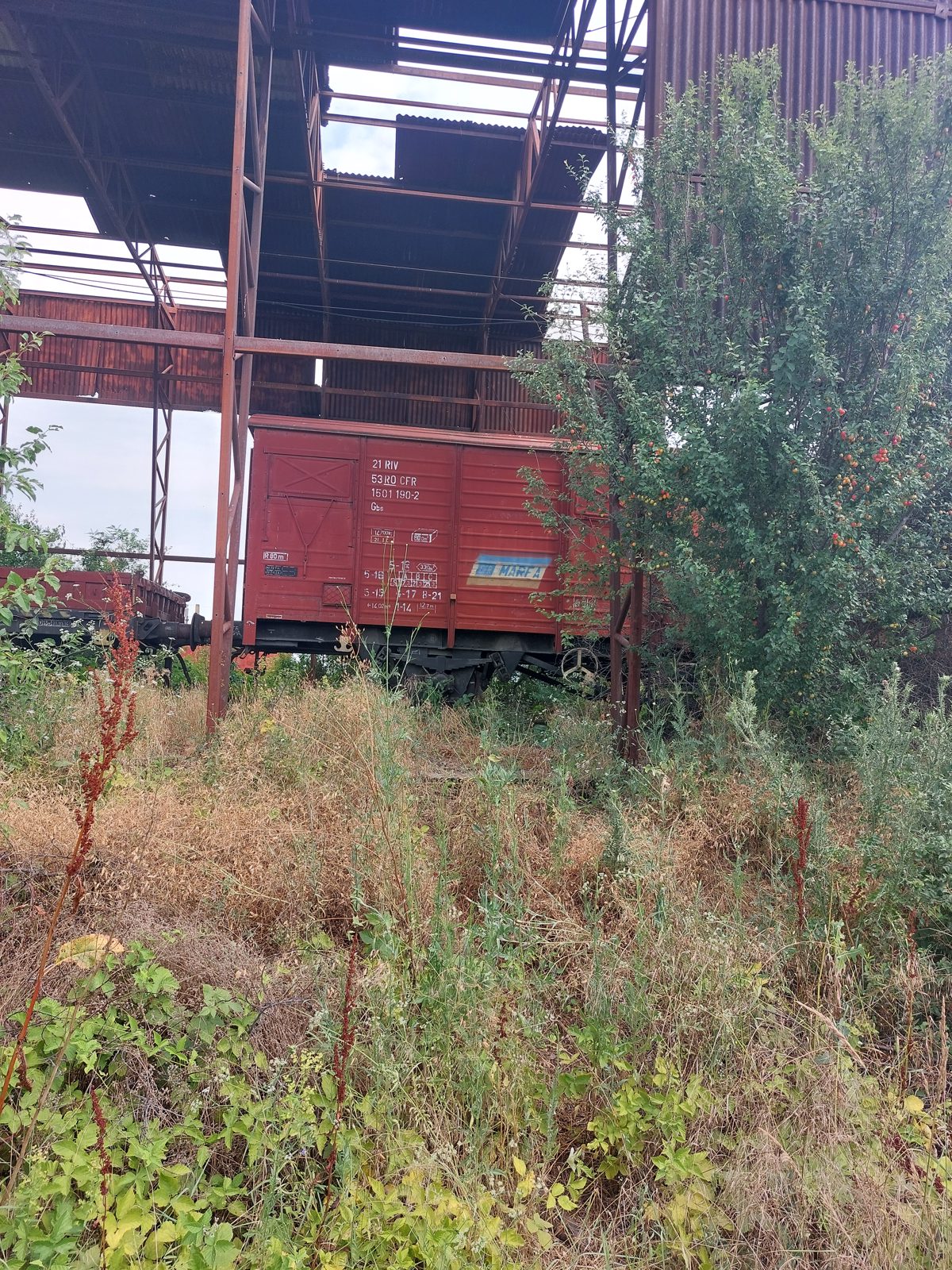 Vagon 215315011902 - Vagon marfa GBS (1983) 1
