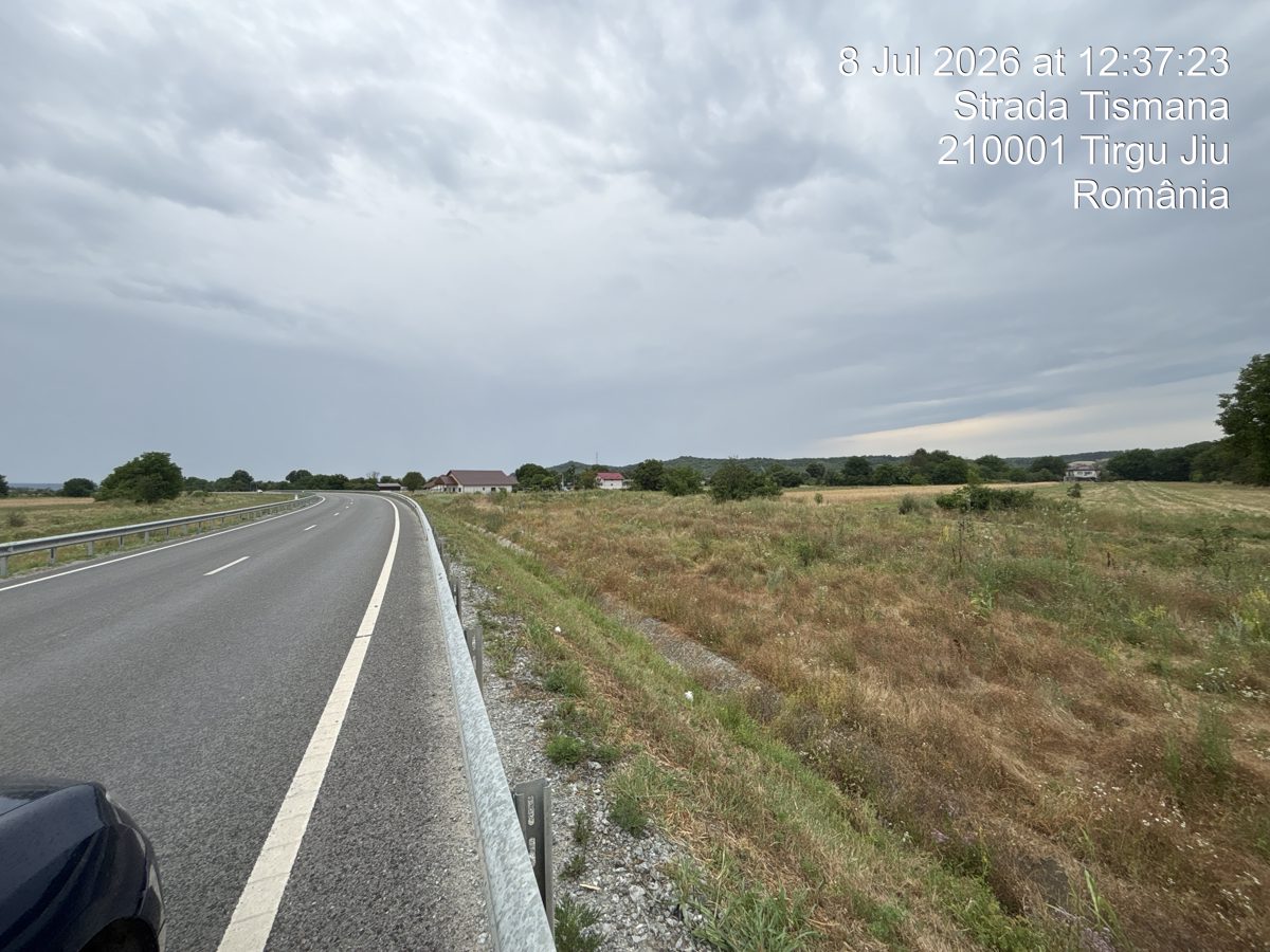 Miniatură 3