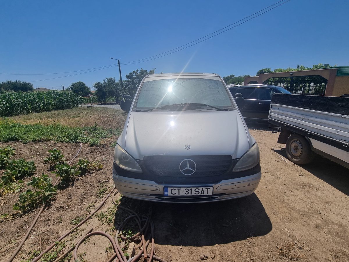 Miniatură 2