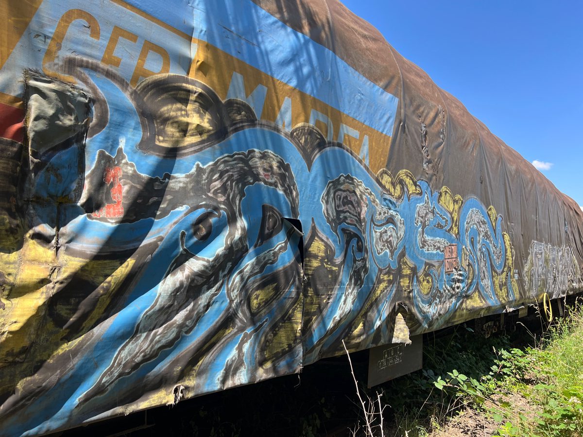 Miniatură 2