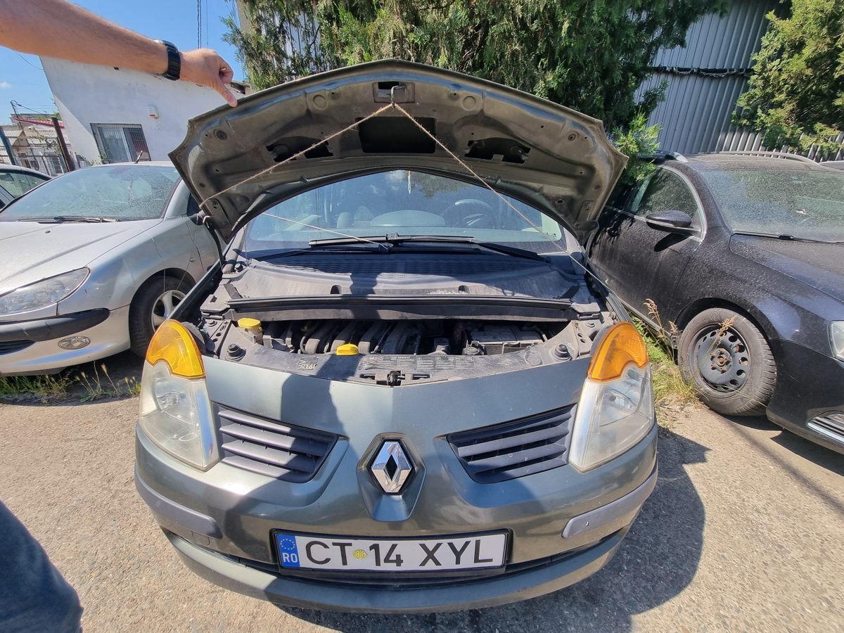 Miniatură 8