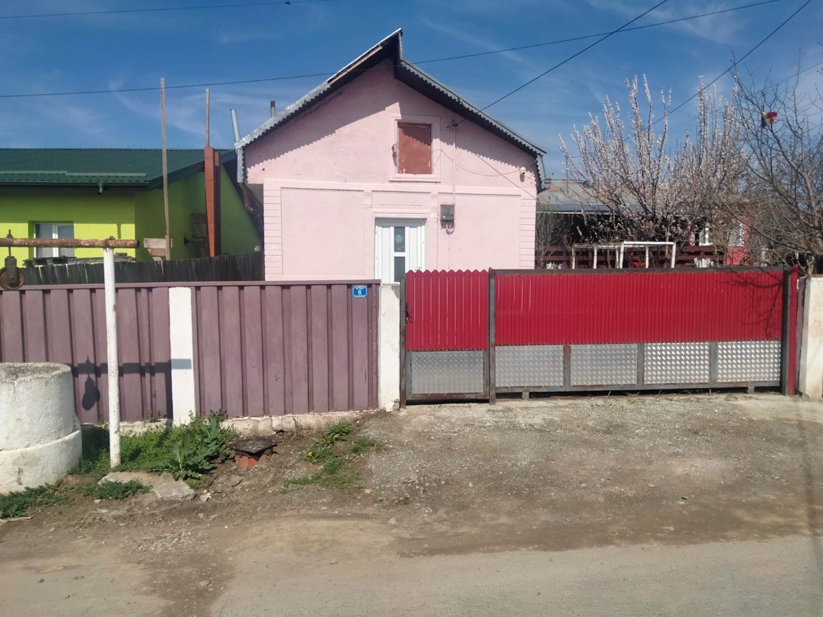 Miniatură 3