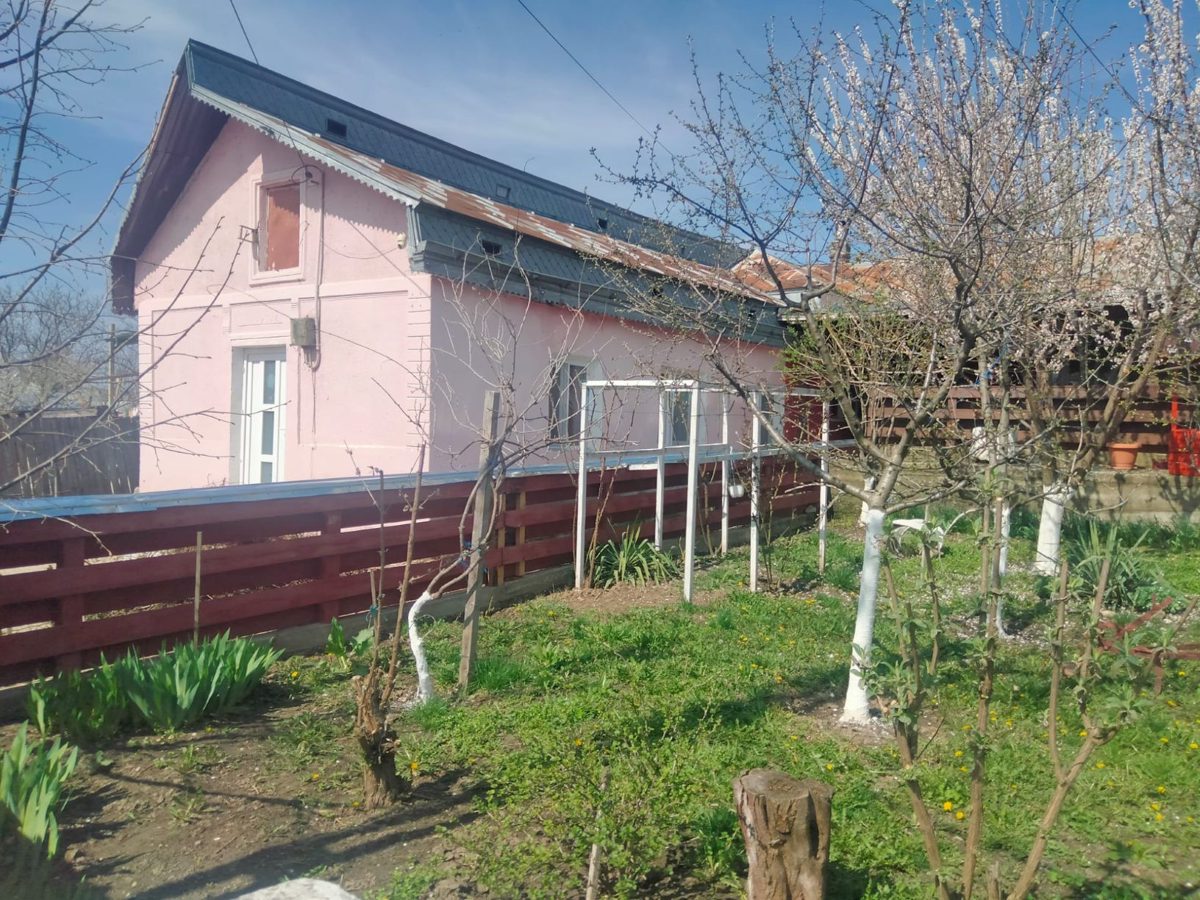 Miniatură 4