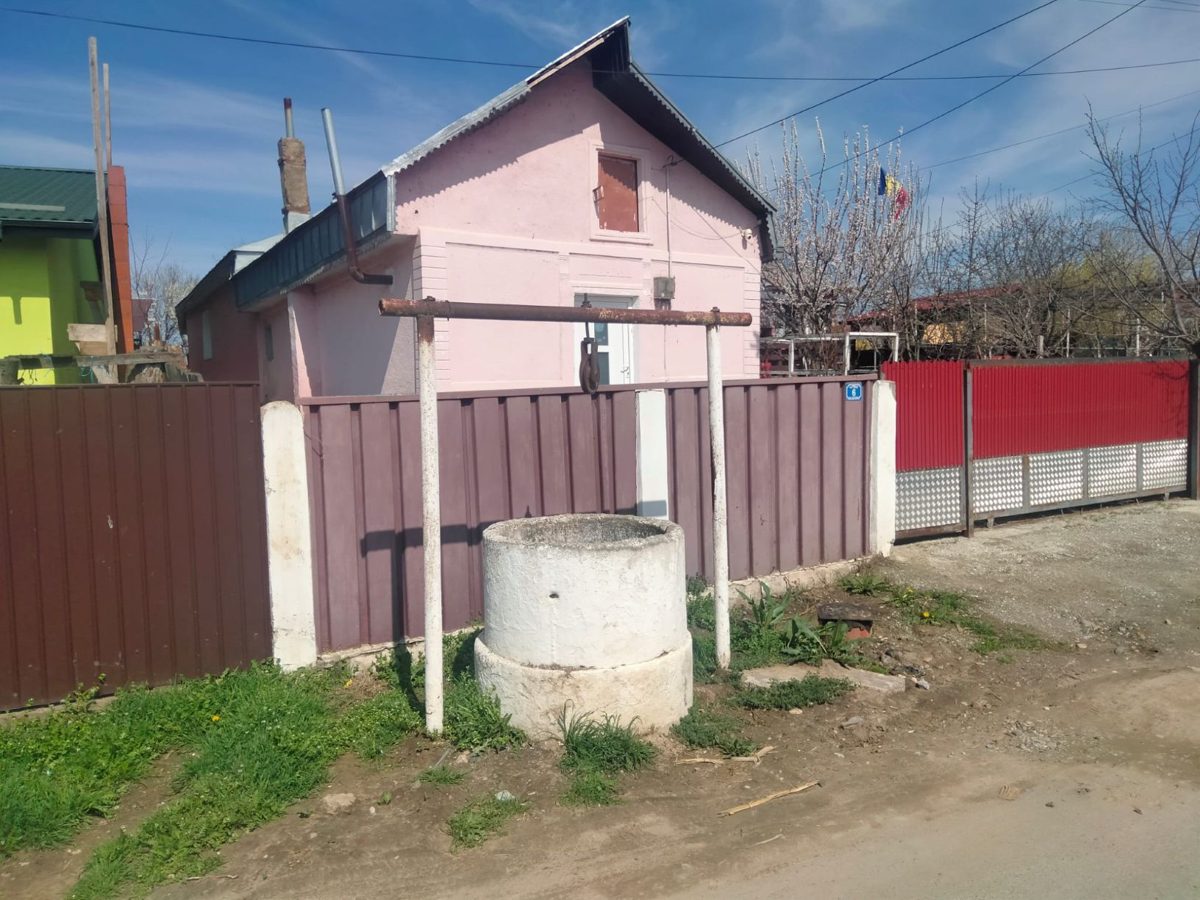 Miniatură 5