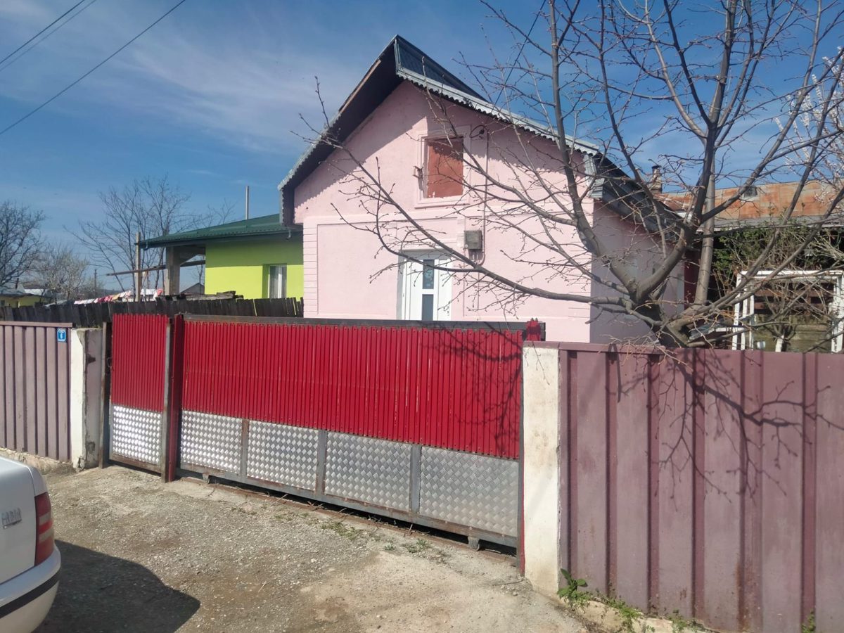Miniatură 6